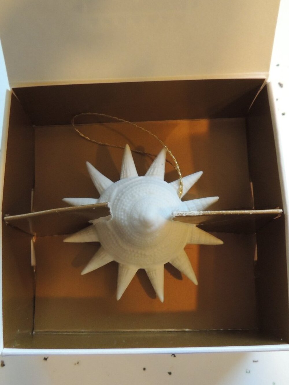 TWO Margaret Furlong Sunshell Ornaments